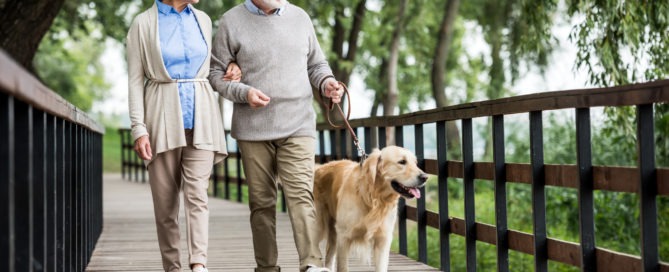 Retired Couple Walking Dog